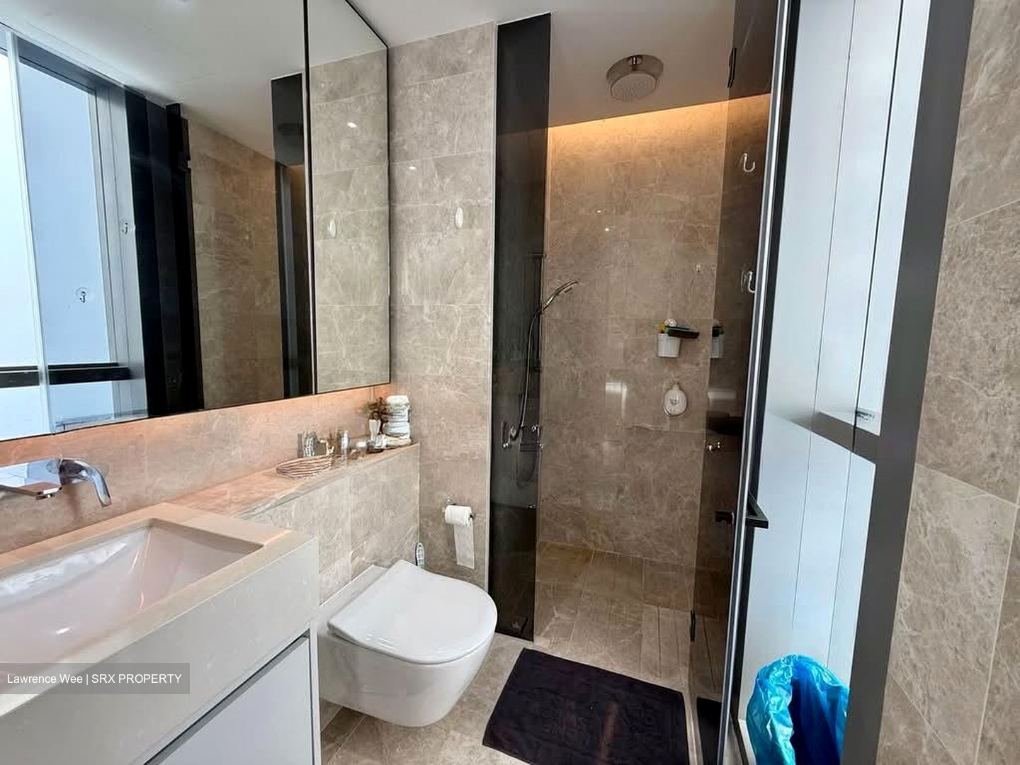 Amber Park (D15), Condominium #556155731